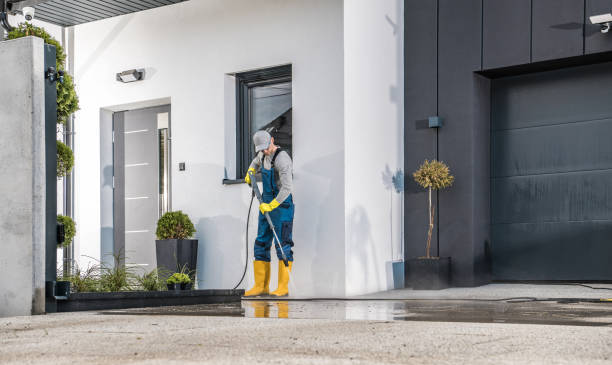 Best Driveway Pressure Washing  in Merian, ID